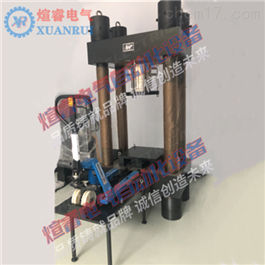 XR-QJD-1S型千斤顶力值检定装置